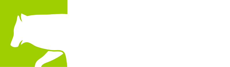 Wolventa — intelligence for everyone
